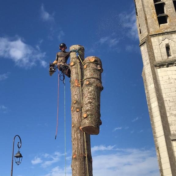 Démontage abattage